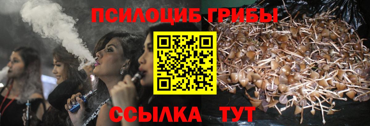 Галлюциногенные грибы Psilocybe Красногорск