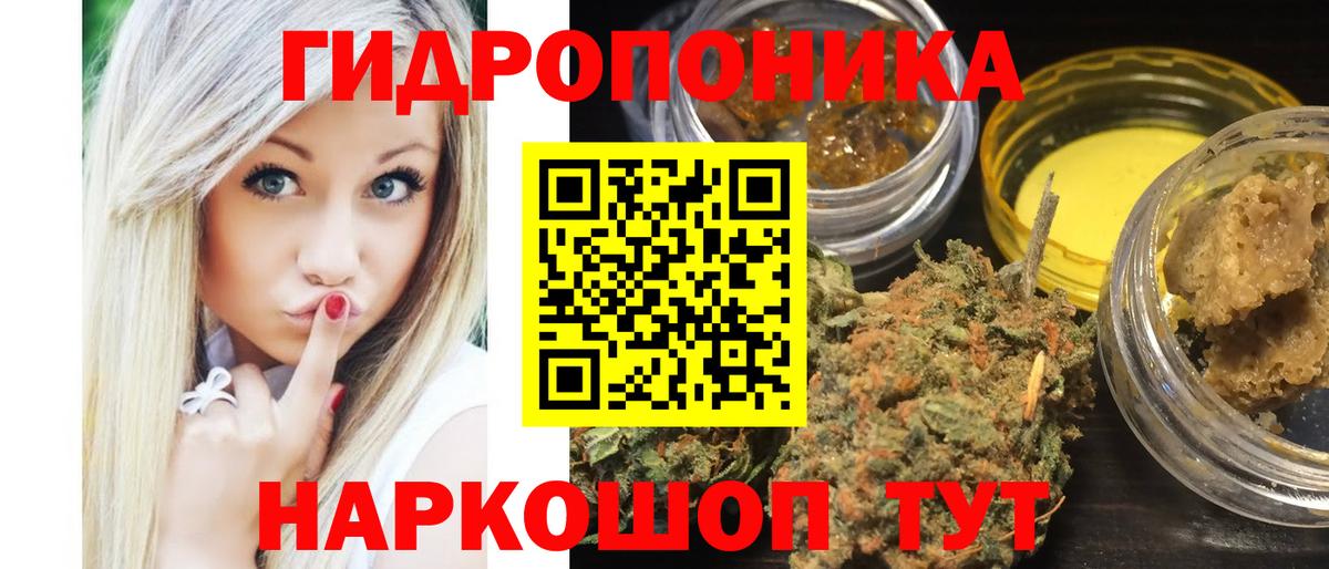 Красногорск  Канабис Bruce Banner  Каннабис семена  Вход с VPN  Марихуана индика 